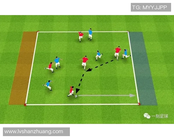 足球明星训练手包的选择与使用技巧全解析